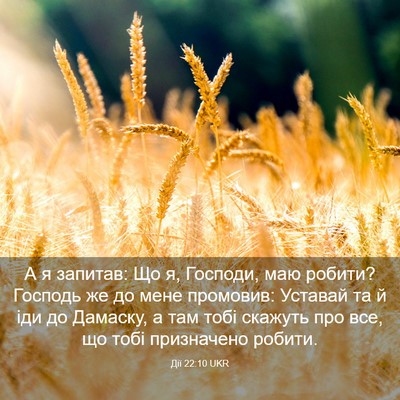 Picture 03 - Дії 22:10 UKR - А я запитав: Що я, Господи, - Bible Verse Picture