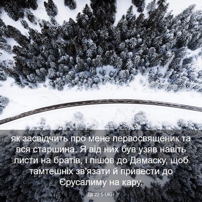 Picture 03 - Дії 22:5 UKR - як засвідчить про мене - Bible Verse Picture