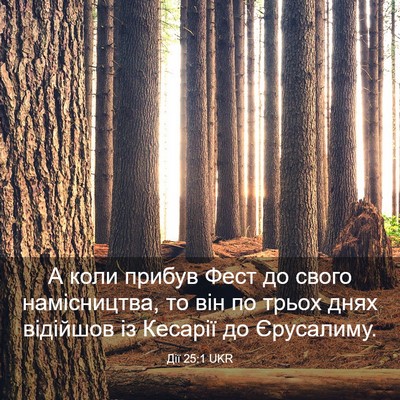 Picture 03 - Дії 25:1 UKR - А коли прибув Фест до свого - Bible Verse Picture