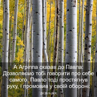 Picture 03 - Дії 26:1 UKR - А Агріппа сказав до Павла: - Bible Verse Picture