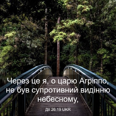 Picture 03 - Дії 26:19 UKR - Через це я, о царю Агріппо, - Bible Verse Picture