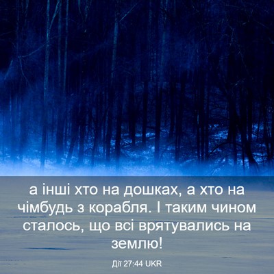 Picture 03 - Дії 27:44 UKR - а інші хто на дошках, а хто - Bible Verse Picture