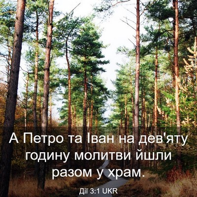 Picture 03 - Дії 3:1 UKR - А Петро та Іван на дев'яту - Bible Verse Picture