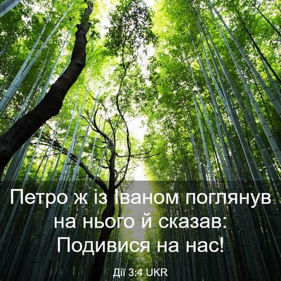 Picture 03 - Дії 3:4 UKR - Петро ж із Іваном поглянув - Bible Verse Picture