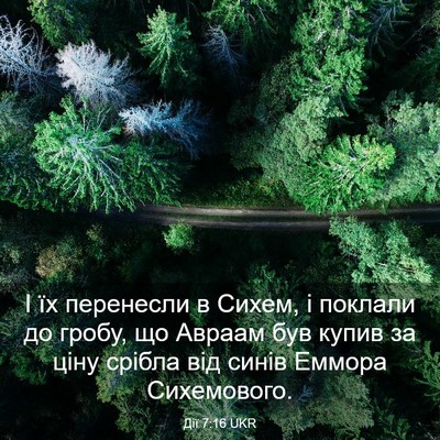Picture 03 - Дії 7:16 UKR - І їх перенесли в Сихем, і - Bible Verse Picture