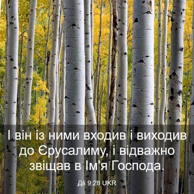 Picture 03 - Дії 9:28 UKR - І він із ними входив і - Bible Verse Picture