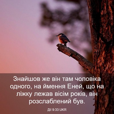 Picture 03 - Дії 9:33 UKR - Знайшов же він там - Bible Verse Picture