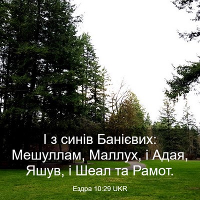 Picture 03 - Ездра 10:29 UKR - І з синів Банієвих: - Bible Verse Picture