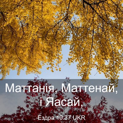 Picture 03 - Ездра 10:37 UKR - Маттанія, Маттенай, і - Bible Verse Picture