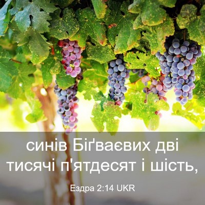 Picture 03 - Ездра 2:14 UKR - синів Біґваєвих дві тисячі - Bible Verse Picture