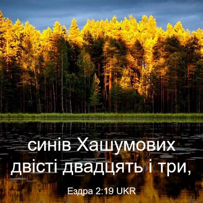 Picture 03 - Ездра 2:19 UKR - синів Хашумових двісті - Bible Verse Picture