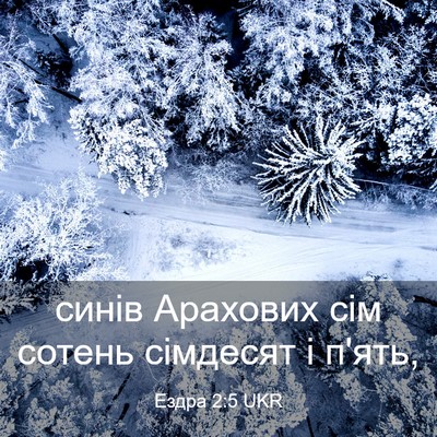Picture 03 - Ездра 2:5 UKR - синів Арахових сім сотень - Bible Verse Picture