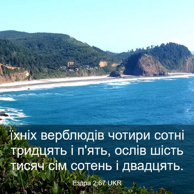 Picture 03 - Ездра 2:67 UKR - їхніх верблюдів чотири - Bible Verse Picture