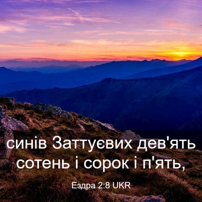 Picture 03 - Ездра 2:8 UKR - синів Заттуєвих дев'ять - Bible Verse Picture