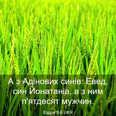 Picture 03 - Ездра 8:6 UKR - А з Адінових синів: Евед, - Bible Verse Picture