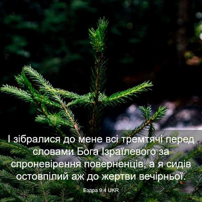 Picture 03 - Ездра 9:4 UKR - І зібралися до мене всі - Bible Verse Picture