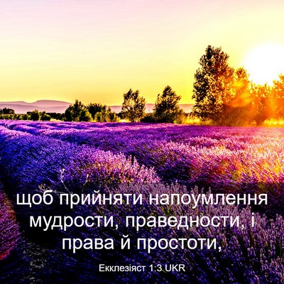 Picture 03 - Екклезіяст 1:3 UKR - щоб прийняти напоумлення - Bible Verse Picture