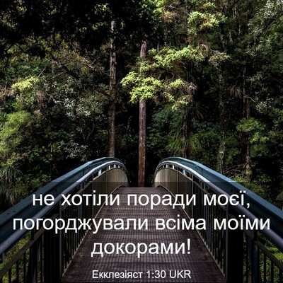 Picture 03 - Екклезіяст 1:30 UKR - не хотіли поради моєї, - Bible Verse Picture