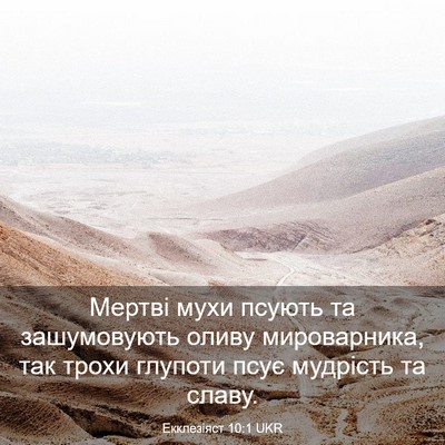 Picture 03 - Екклезіяст 10:1 UKR - Мертві мухи псують та - Bible Verse Picture