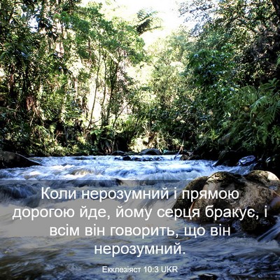 Picture 03 - Екклезіяст 10:3 UKR - Коли нерозумний і прямою - Bible Verse Picture