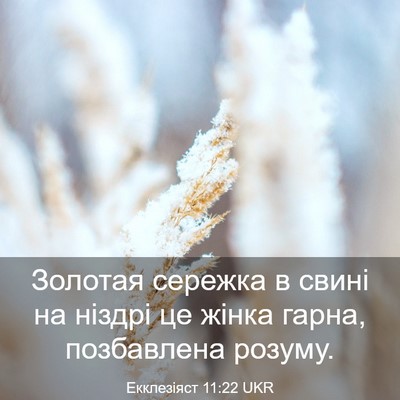 Picture 03 - Екклезіяст 11:22 UKR - Золотая сережка в свині на - Bible Verse Picture