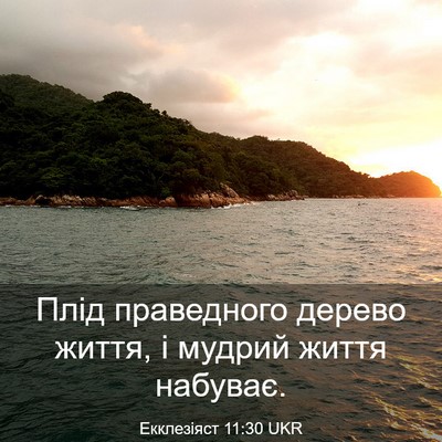 Picture 03 - Екклезіяст 11:30 UKR - Плід праведного дерево - Bible Verse Picture