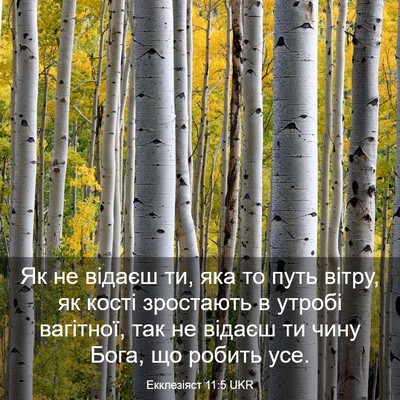 Picture 03 - Екклезіяст 11:5 UKR - Як не відаєш ти, яка то путь - Bible Verse Picture
