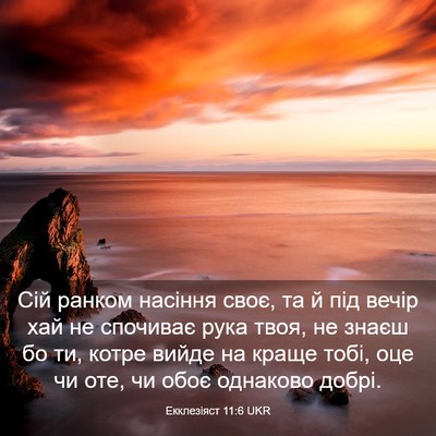 Picture 03 - Екклезіяст 11:6 UKR - Сій ранком насіння своє, та - Bible Verse Picture