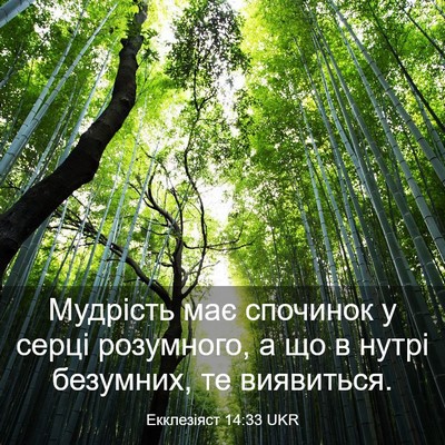 Picture 03 - Екклезіяст 14:33 UKR - Мудрість має спочинок у - Bible Verse Picture