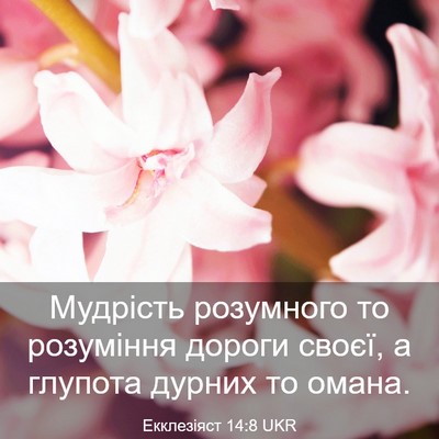 Picture 03 - Екклезіяст 14:8 UKR - Мудрість розумного то - Bible Verse Picture