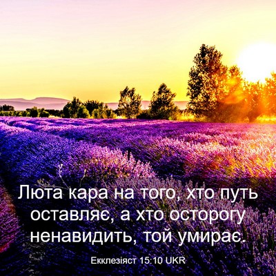 Picture 03 - Екклезіяст 15:10 UKR - Люта кара на того, хто путь - Bible Verse Picture