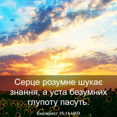 Picture 03 - Екклезіяст 15:14 UKR - Серце розумне шукає - Bible Verse Picture
