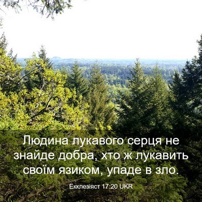 Picture 03 - Екклезіяст 17:20 UKR - Людина лукавого серця не - Bible Verse Picture