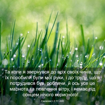 Picture 03 - Екклезіяст 2:11 UKR - Та коли я звернувся до всіх - Bible Verse Picture
