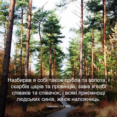Picture 03 - Екклезіяст 2:8 UKR - Назбирав я собі також - Bible Verse Picture