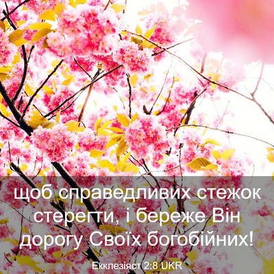 Picture 03 - Екклезіяст 2:8 UKR - щоб справедливих стежок - Bible Verse Picture