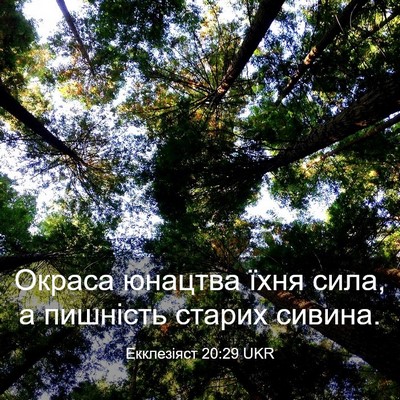 Picture 03 - Екклезіяст 20:29 UKR - Окраса юнацтва їхня сила, а - Bible Verse Picture