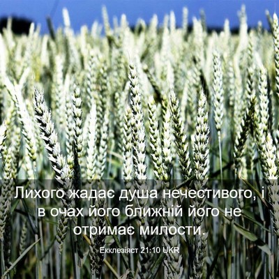 Picture 03 - Екклезіяст 21:10 UKR - Лихого жадає душа - Bible Verse Picture