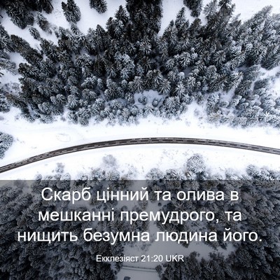 Picture 03 - Екклезіяст 21:20 UKR - Скарб цінний та олива в - Bible Verse Picture