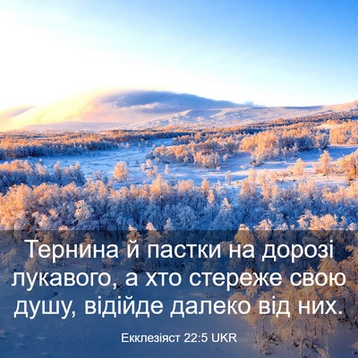 Picture 03 - Екклезіяст 22:5 UKR - Тернина й пастки на дорозі - Bible Verse Picture