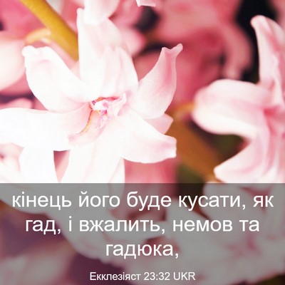 Picture 03 - Екклезіяст 23:32 UKR - кінець його буде кусати, як - Bible Verse Picture
