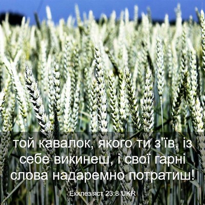 Picture 03 - Екклезіяст 23:8 UKR - той кавалок, якого ти з'їв, - Bible Verse Picture