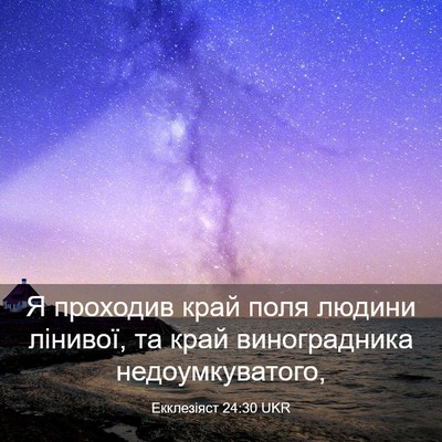 Picture 03 - Екклезіяст 24:30 UKR - Я проходив край поля - Bible Verse Picture
