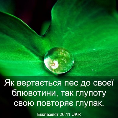 Picture 03 - Екклезіяст 26:11 UKR - Як вертається пес до своєї - Bible Verse Picture