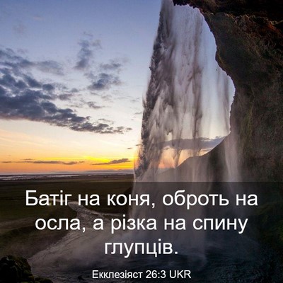Picture 03 - Екклезіяст 26:3 UKR - Батіг на коня, оброть на - Bible Verse Picture