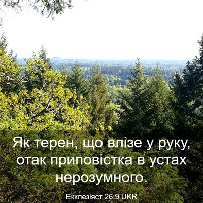 Picture 03 - Екклезіяст 26:9 UKR - Як терен, що влізе у руку, - Bible Verse Picture
