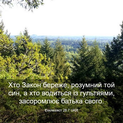Picture 03 - Екклезіяст 28:7 UKR - Хто Закон береже, розумний - Bible Verse Picture