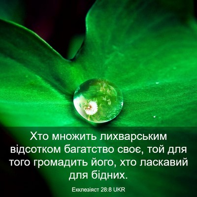 Picture 03 - Екклезіяст 28:8 UKR - Хто множить лихварським - Bible Verse Picture