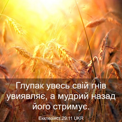 Picture 03 - Екклезіяст 29:11 UKR - Глупак увесь свій гнів - Bible Verse Picture