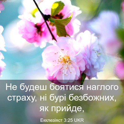 Picture 03 - Екклезіяст 3:25 UKR - Не будеш боятися наглого - Bible Verse Picture